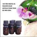 Aromatherapie ätherisches Öl Geschenk-Sets 6-Pack