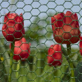 Green PVC Coated Hexagonal Wire Netting