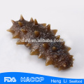 HL011 Frozen Sea Cucumber for export vacuum package