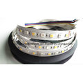 SMD5050 360LEDs RGB Dupla Cor Ww &amp; Pw 5 cores LED Strip