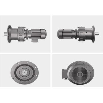 Hot Sale Cycloidal Gear Motor for Packing Machine