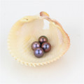 Snh Peacock Color Natural de agua dulce perlas de perlas sueltas