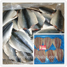 factory of frozen mackerel flaps/ mackerel butterfly