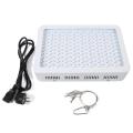 Best Home Indoor Grow Lights