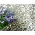 POLY MESH WITH 6MM SEQUIN EMBD 50/52"