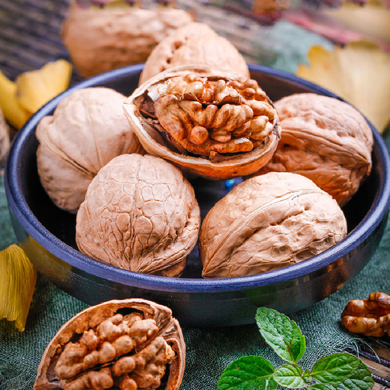 walnut natural nuts