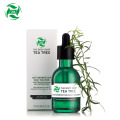 100% Pure Tea Tree Essential Oil Wholesale Price