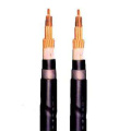 Shielded Radiation XLPE insulated Control Cables