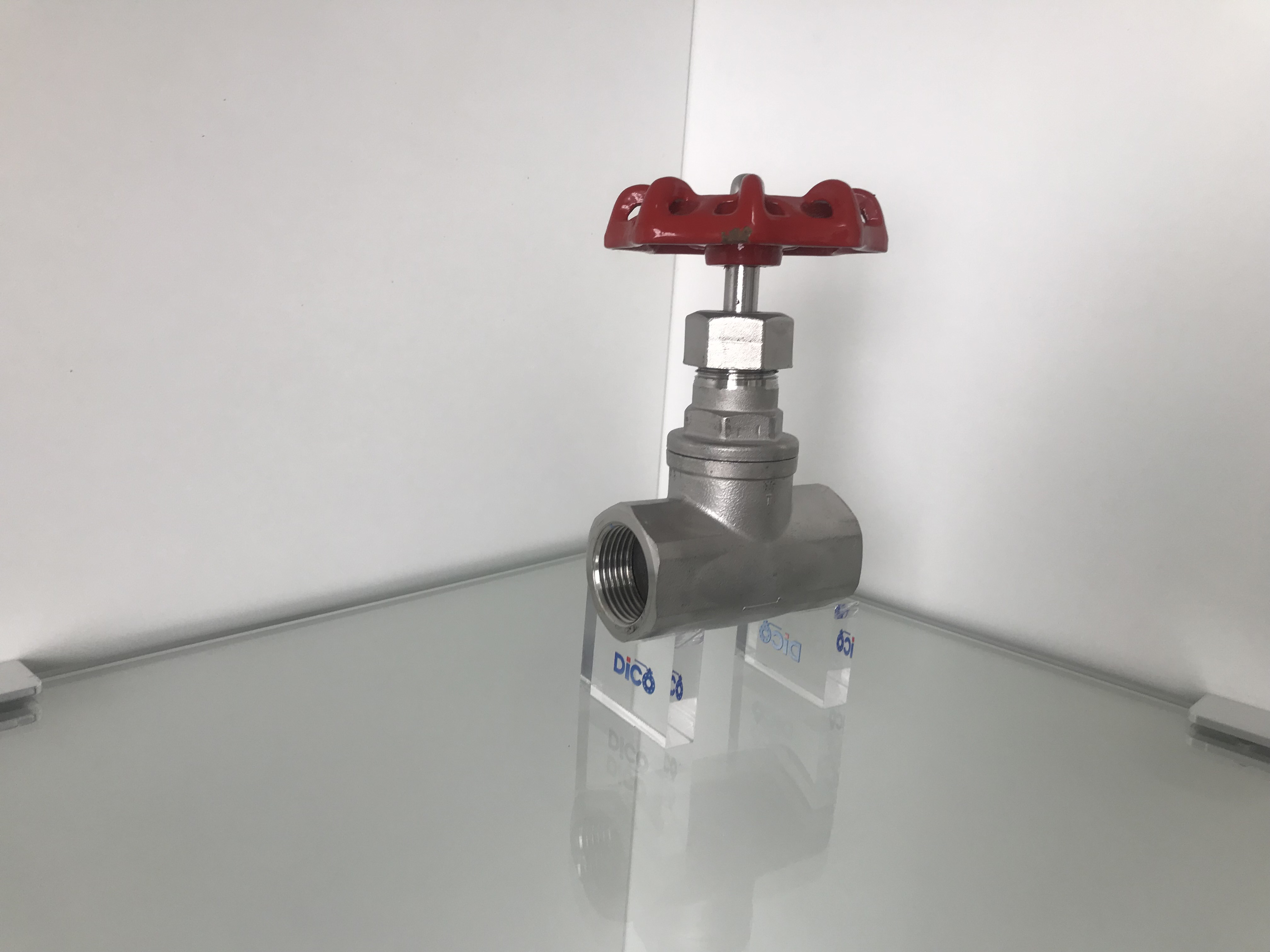 globe valve