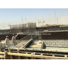 Construction Film Faced Plywood WBP / Marine Plywood (Poplar, Combi, Birch Core)