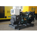 10kVA Generator mit Yangdong Motor