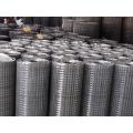 Directly Good Price Galvanized Welded Wire Mesh