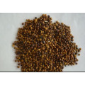 Biological Pesticide Plant Extract Marine