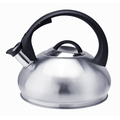 New Stainless steel induction stovetop tea kettle