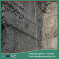 galvanized slope protecting net rockfall netting