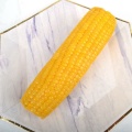 Vegetal fresco mazorca de maíz dulce