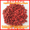 Best Price Dried Red Berry Ningxia Goji berry