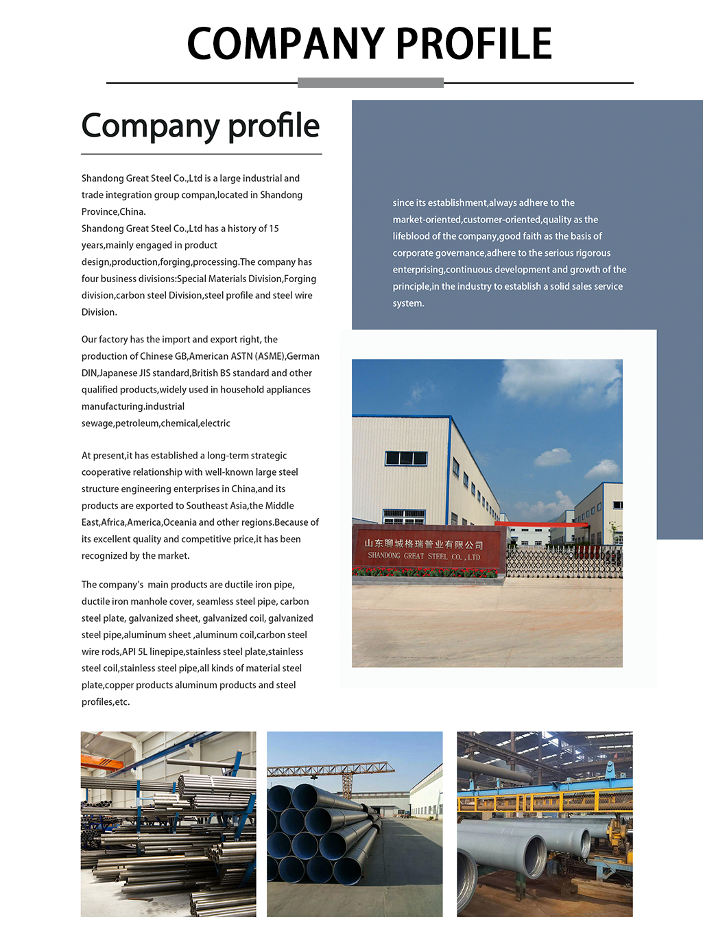 company profile company profile