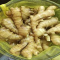 Super Quality Ginger to Europe Market