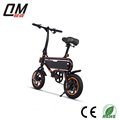 12 '' 350W Adult Foldable Pedal Assist E-Bike