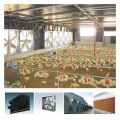 Full Set Poultry Farm Equipment for Chicken Production