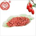 Premium Goji Berries Dried Fruit Goji Berry