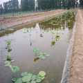 HDPE Waterproof Impermeable Geomembrane for Drip Irrigation