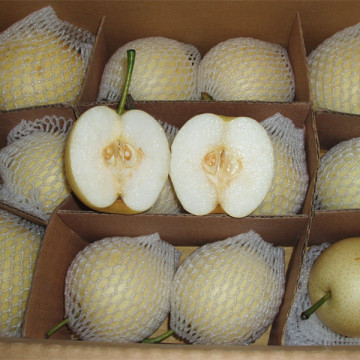 Chinese Golden Pear Good Quality and Price