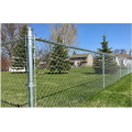 Professional Newest Galvanized Chain Link Fence