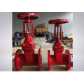 Rubber Encapsulated Wedge Gate Valve