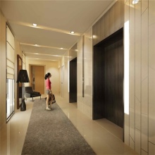 Petite Maison Commercial Villa Résidentiel Ascenseur Ascenseur Passager