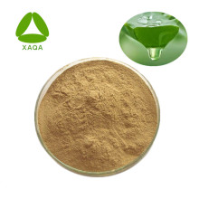 Aloe Vera Extract Powder 10:1 With Competitive Price