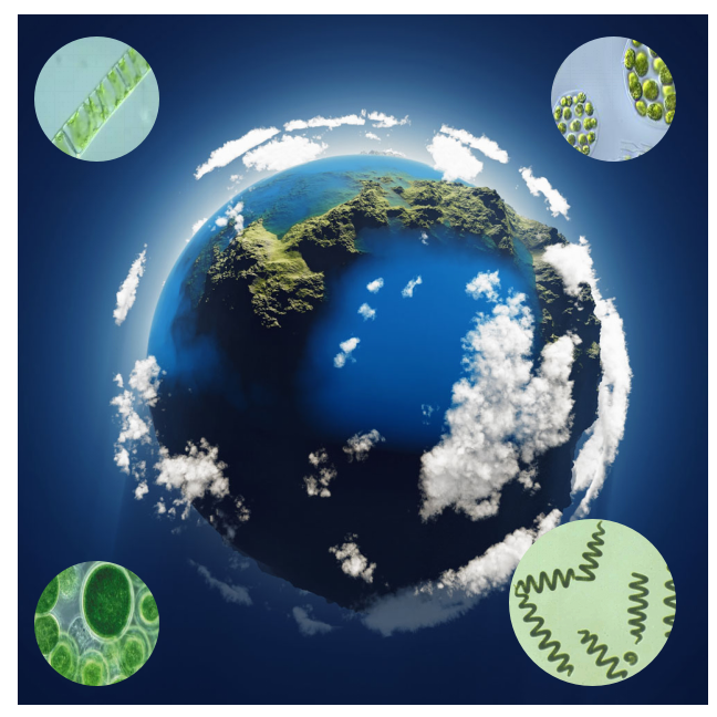 Microalgae's Earth