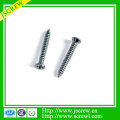 Drywall Screw Self Tapping Screw for Wooden Furniture