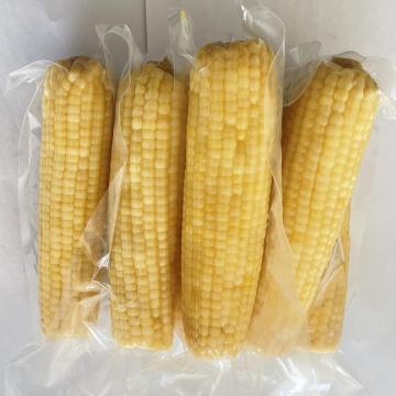 High Quality White Sweet Corns