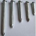 Galvanized Stainless Concrete Nail/Concrete Steel Nail