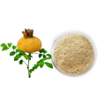 Prickly pear fruit powder bulk raw material