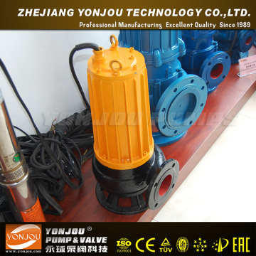 Engine Driven Sewage Pump