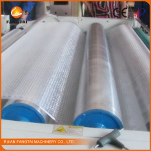 PE Air Bubble Wrap Making Machine Ftpe-800 (CE certification)