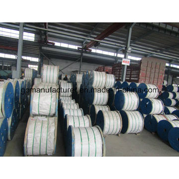 Galvanized Steel Wire Strand for ACSR Conductor