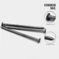 Professional Polished Common Nail with Good Quality