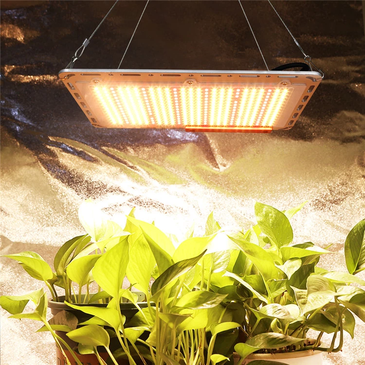 Meizhi Led Grow Light 900w