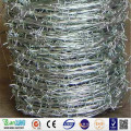 Galvanized Steel Coiled Barbed Wire