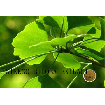 (Extracto de Ginkgo Biloba) - Flavonas 24% Lactonas 6% Ginkgo Biloba