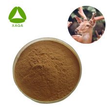 Deer Velvet Antler Extract Protein Peptides Powder 90%