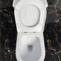 Double Siphonic Flushing Ceramic One-Piece Water Closet Wc