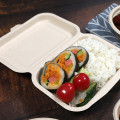 Degradable Takeout Containers, Biodegradable food container Eco Friendly Take Out Food Containers with Lids for lunch