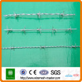 zinc coating or pvc green Barbed Wire