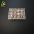 12 Cells Plastic Coturnix Quail Eggs Container