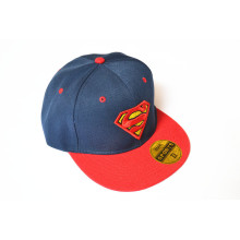 Nouvelle mode hip-hop pas cher haute qualité broderie 3D personnalisé Snapback PAC